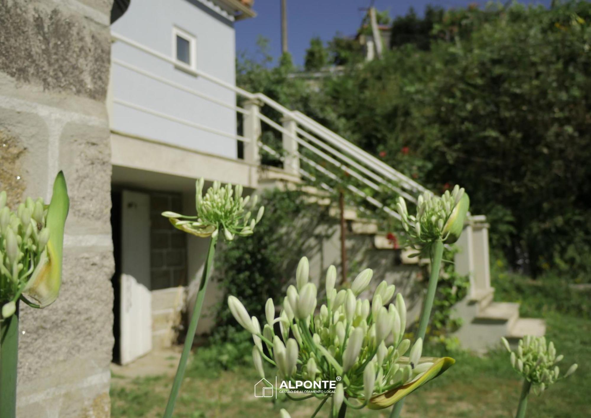 Villa Quinta Da Costeira - Casa Azul Do Limoal By Alponte Arcos de Valdevez Exterior foto