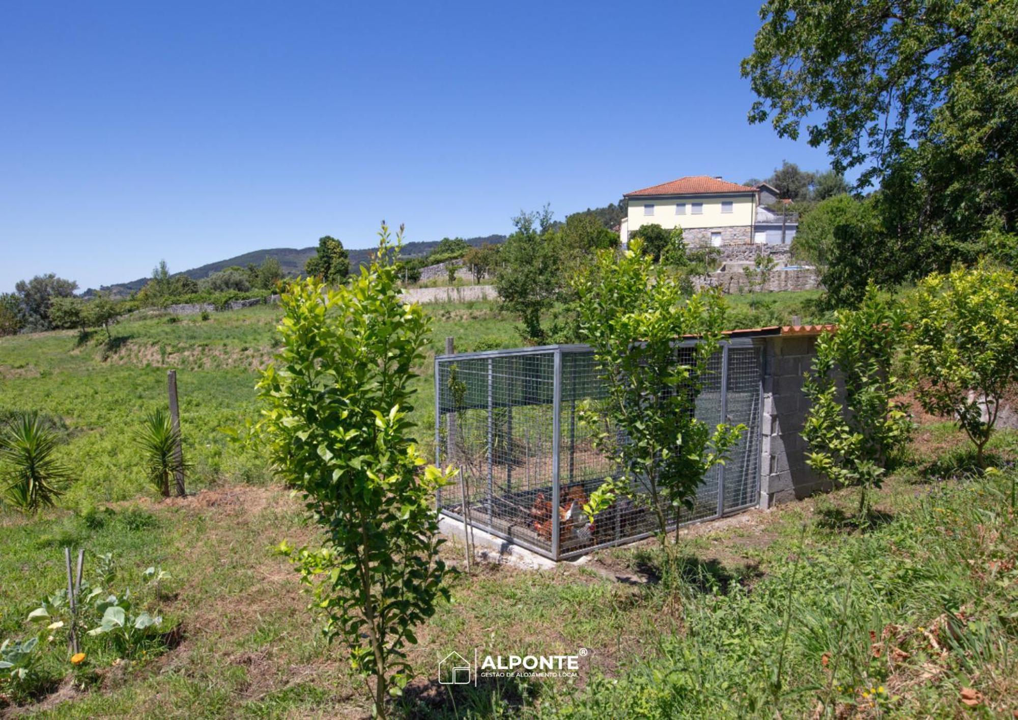 Villa Quinta Da Costeira - Casa Azul Do Limoal By Alponte Arcos de Valdevez Exterior foto